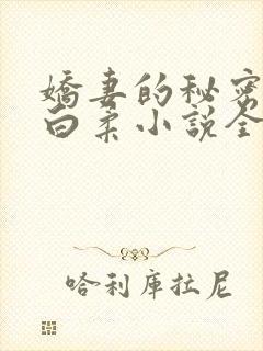 娇妻的秘密王平白柔小说全文阅读