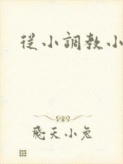 从小调教小说h封面