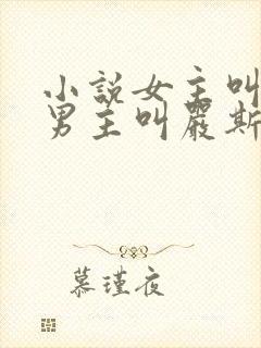 小说女主叫宋栀男主叫严斯年