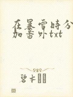 在暴雪时分全文加番外txt