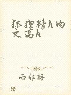 狐狸精h肉多荤文高h