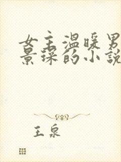 女主温暖男主陆景琛的小说