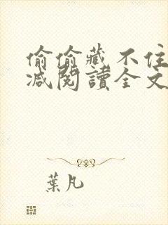 偷偷藏不住无删减阅读全文