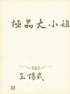 极品大小姐封面