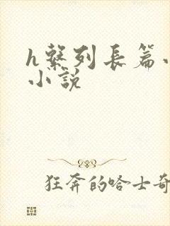 h系列长篇小说小说封面