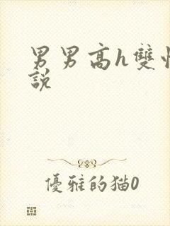 男男高h双性小说