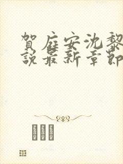 贺庭安沈黎初小说最新章节更新内容