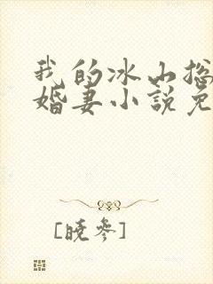 我的冰山总裁未婚妻小说免费阅读