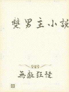 双男主小说好看封面