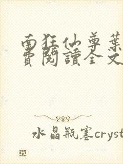 南狂仙尊叶辰免费阅读全文