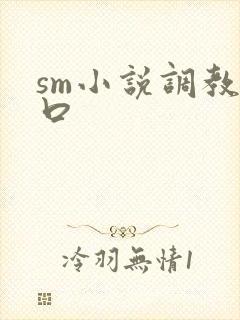 sm小说调教重口