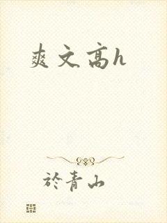 爽文高h