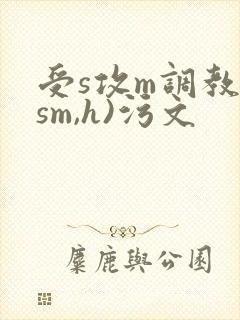 受s攻m调教(sm,h)污文