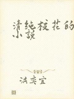 清纯校花的堕落小说