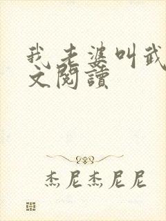 我老婆叫武艳全文阅读