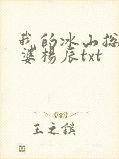 我的冰山总裁老婆杨辰txt封面