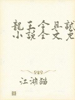 龙王令且试天下小说全文免费阅读封面