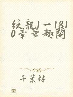 纹龙1一1810章笔趣阁封面