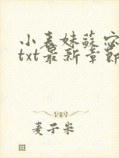 小表妹苏宓齐勇txt最新章节更新时间