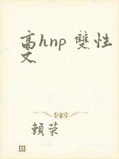 高hnp 双性文