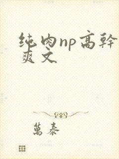 纯肉np高干h爽文