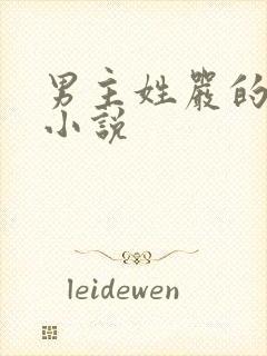 男主姓严的总裁小说