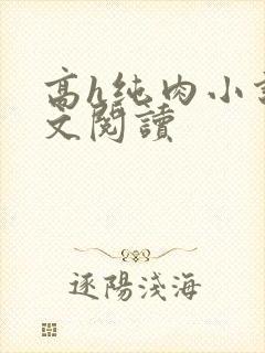 高h纯肉小说全文阅读