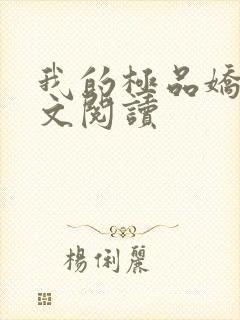 我的极品娇妻全文阅读