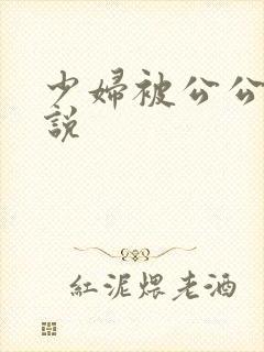 少妇被公公操小说封面