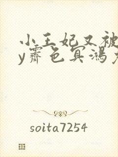 小王妃又被揍by霁色冥鸿免费阅读