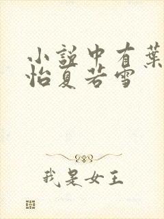 小说中有叶辰孙怡夏若雪