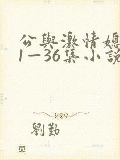 公与激情媳系列1—36集小说封面