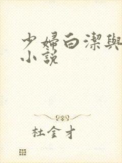 少妇白洁与高义小说封面