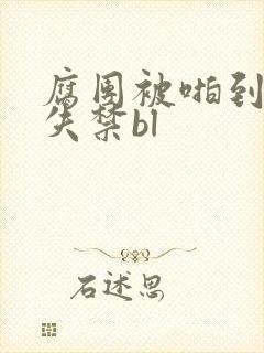 腐团被啪到高潮失禁bl封面