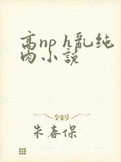 高np h乱纯肉小说