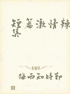 短篇激情辣文合集封面