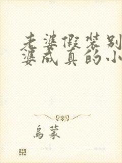 老婆假装别人老婆成真的小说