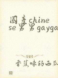 国产chinese男男gaygay在线观看