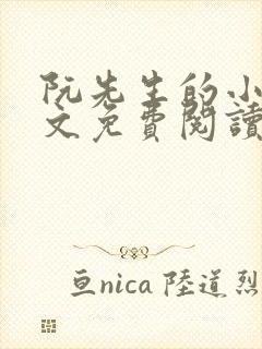 阮先生的小说全文免费阅读无弹窗