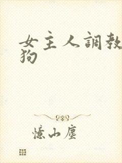 女主人调教骚母狗