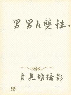 男男h双性小说封面