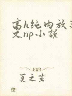 高h纯肉放荡h文np小说