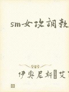 sm女攻调教文封面