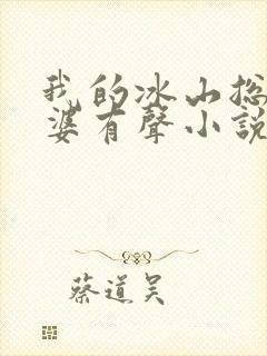 我的冰山总裁老婆有声小说