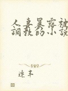 人妻暴露被别人调教的小说封面