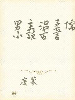 男主温柔儒雅的小说古言封面