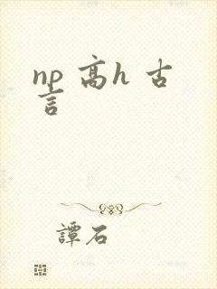 np 高h 古言封面