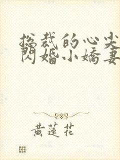 总裁的心尖宠是闪婚小娇妻