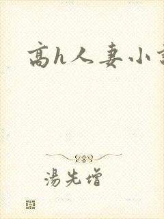 高h人妻小说