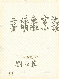 二嫁东宫沈雨燃萧明彻小说免费阅读全文